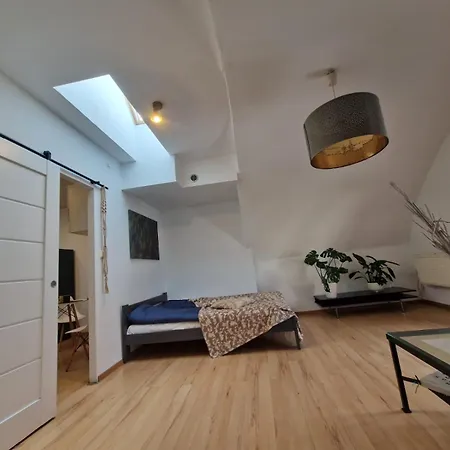 Apartment Blisko Granicy Wodzislaw Slaski