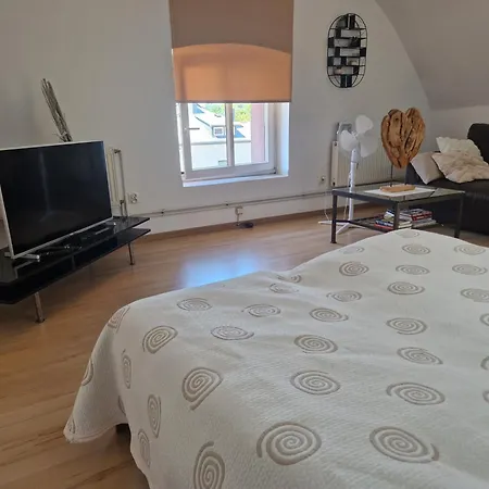 Blisko Granicy Apartment Wodzislaw Slaski