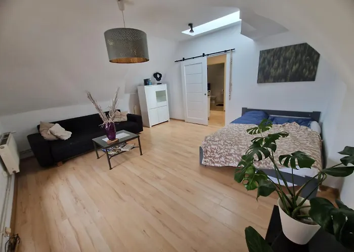 Apartment Blisko Granicy *